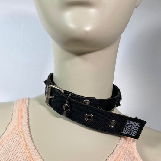 Stigmata pet collar